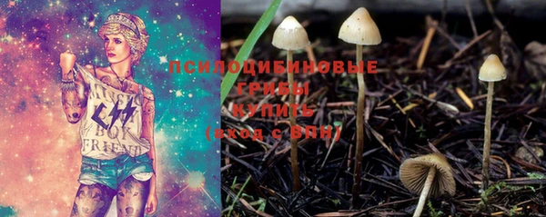 герыч Гусь-Хрустальный