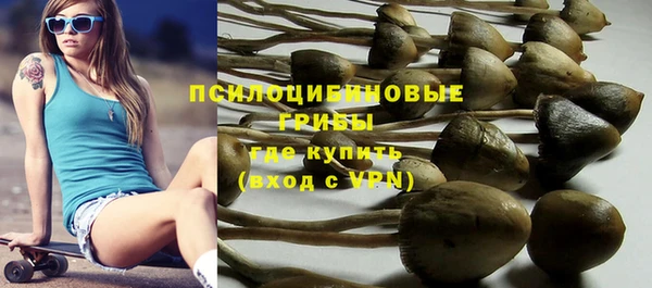 mix Дмитров