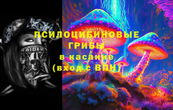 МДПВ Дмитровск