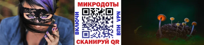 Галлюциногенные грибы Psilocybe  Купить где  Новопавловск 